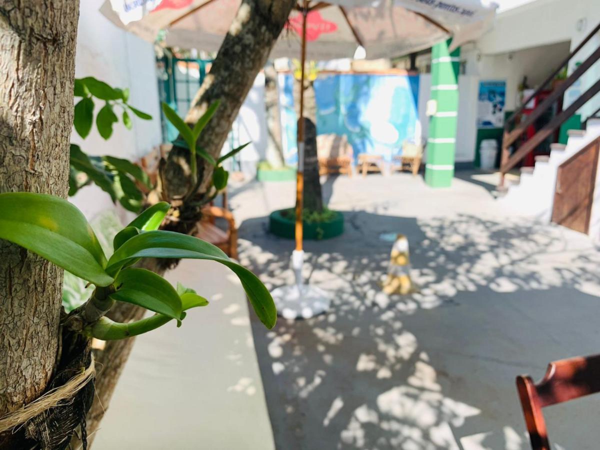 Pousada Arraial Caribe 阿拉亚尔-杜卡布 外观 照片
